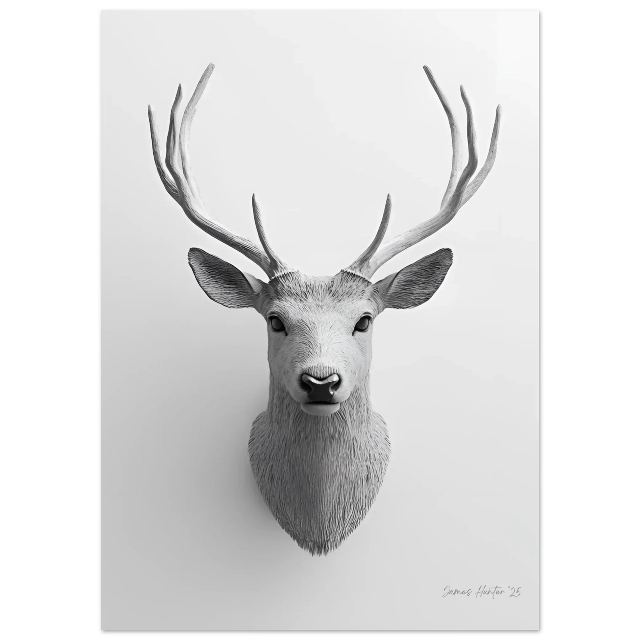 Wall Art – Bring the Spirit of the Wild Indoors
