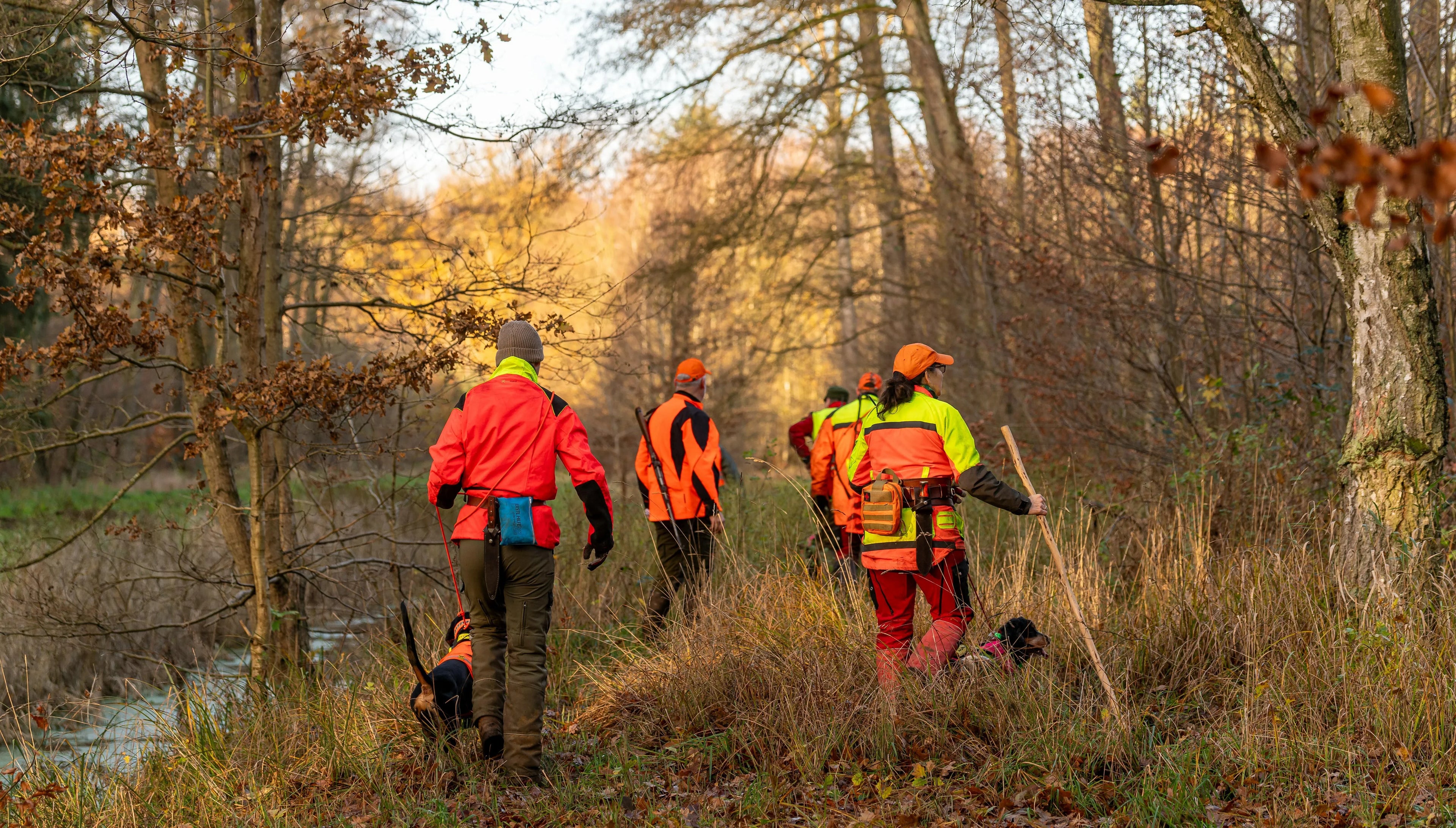 Driven Hunt Season: Tradition, Necessity, and the Balance of Nature