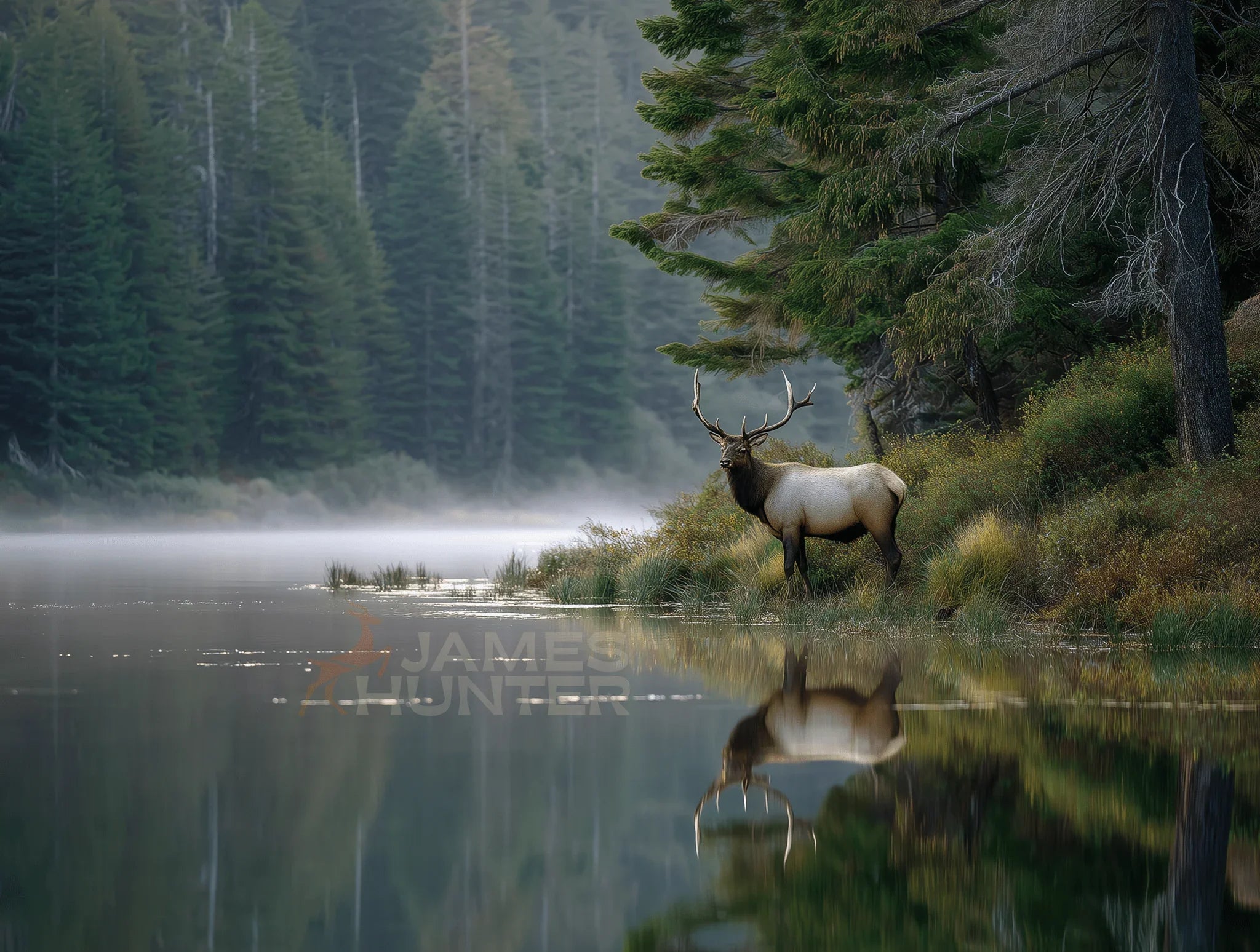 "Fritz" the Stag or how he became the Symbol of the Brand! - James Hunter - Nature and Beyond