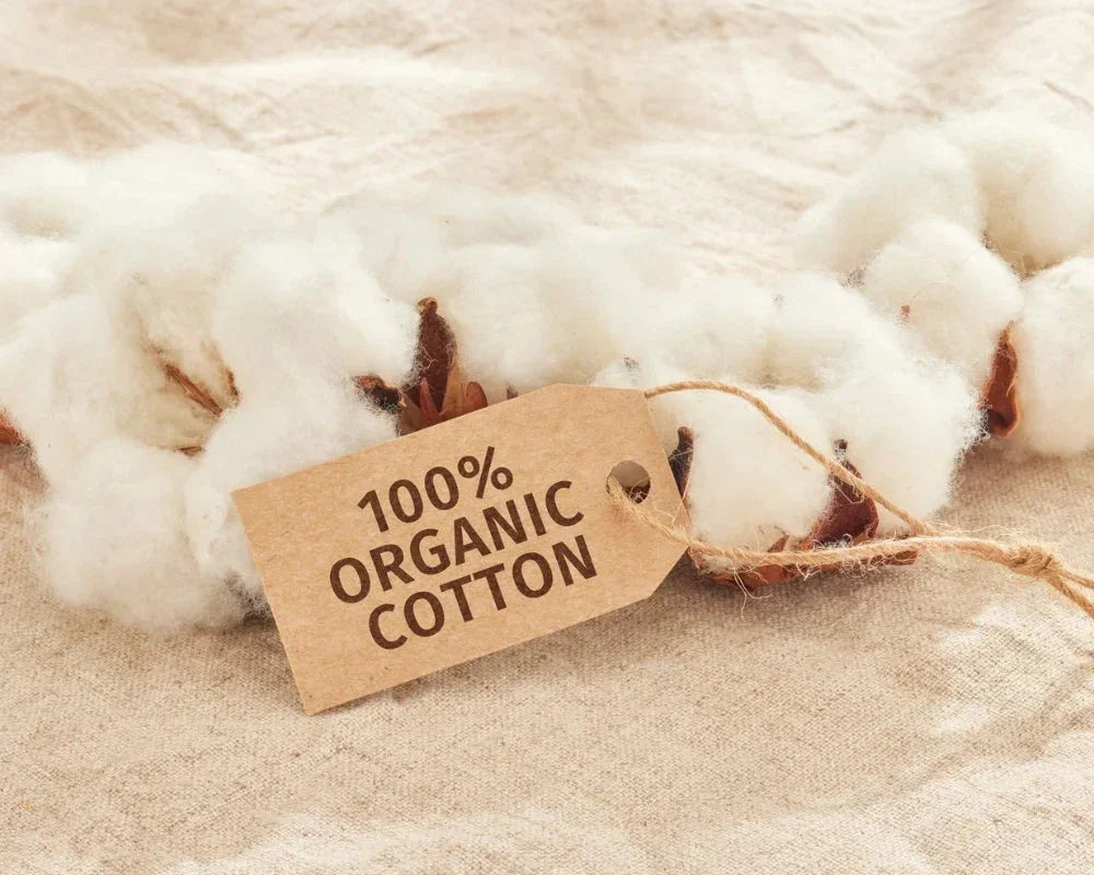 Preserving Nature and Our Planet: Why We Choose Organic Cotton for Our Clothes