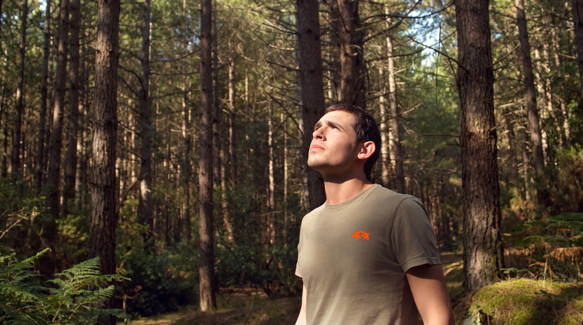 A man wearing a muted olive green t-shirt with a small orange logo on the chest stands in a sun-dappled pine forest.