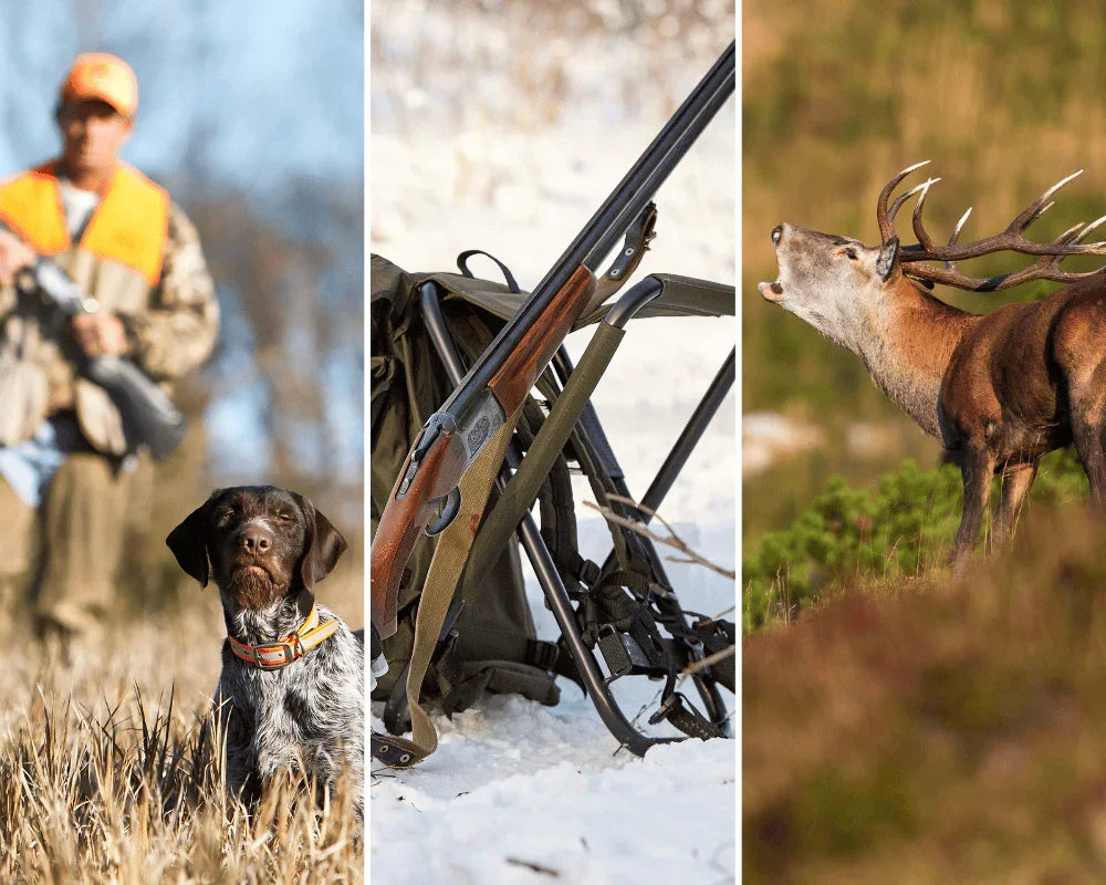 Collage of a hunter, a dog, hunting equipment, and a deer in a natural setting.